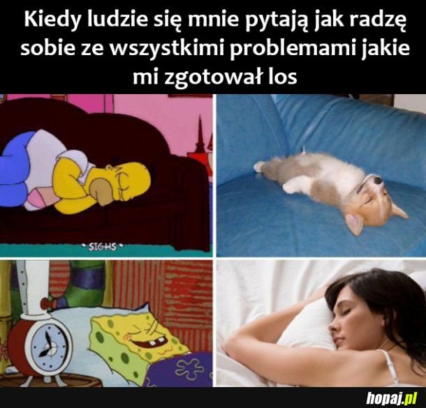 Radzenie sobie z problemami