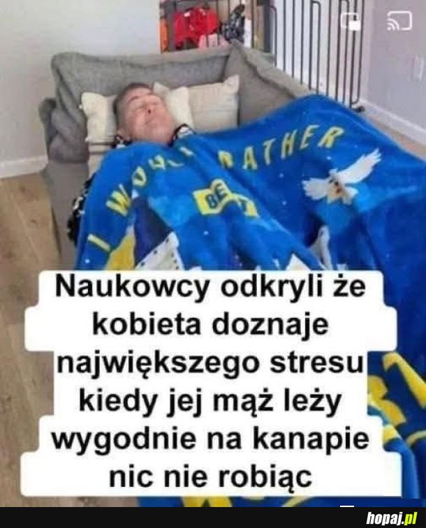 Coś w tym jest