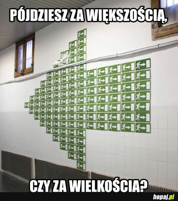 Co byś wybrał?