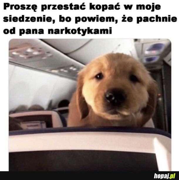Nie zadzieraj