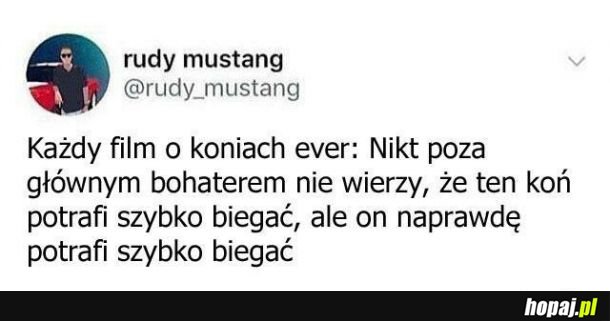 Każdy film o koniach