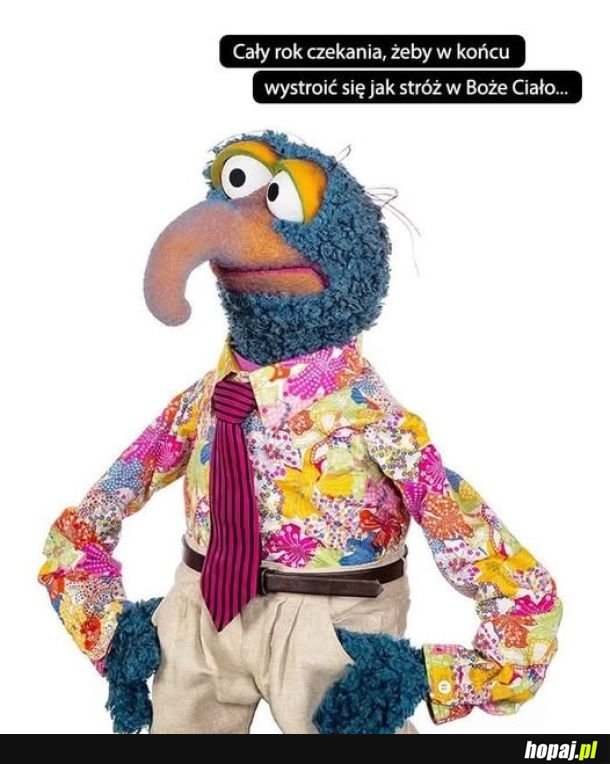 To ten dzień