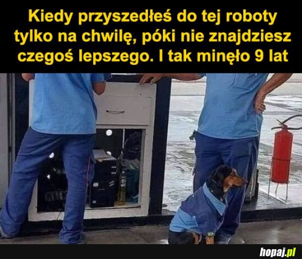 Szybko minęło