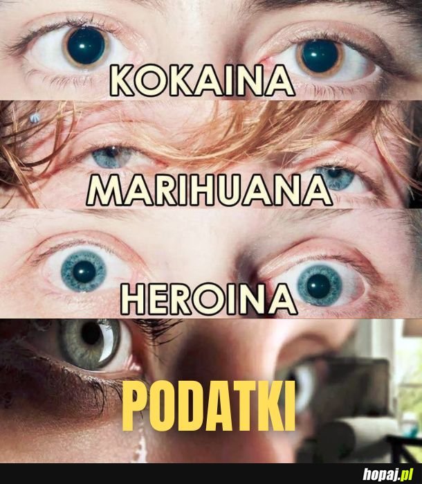 Podatki. 