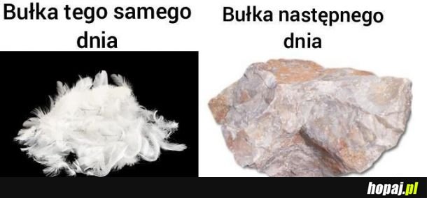 Bułka