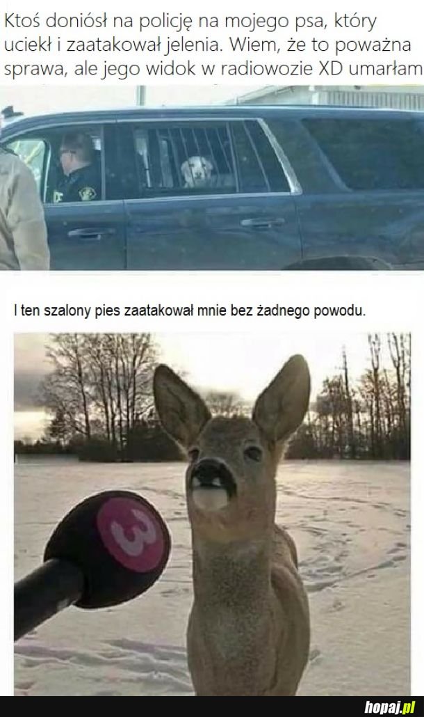 Bez więzienia się nie obejdzie