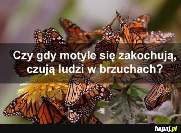 TO JEST DOBRE PYTANIE