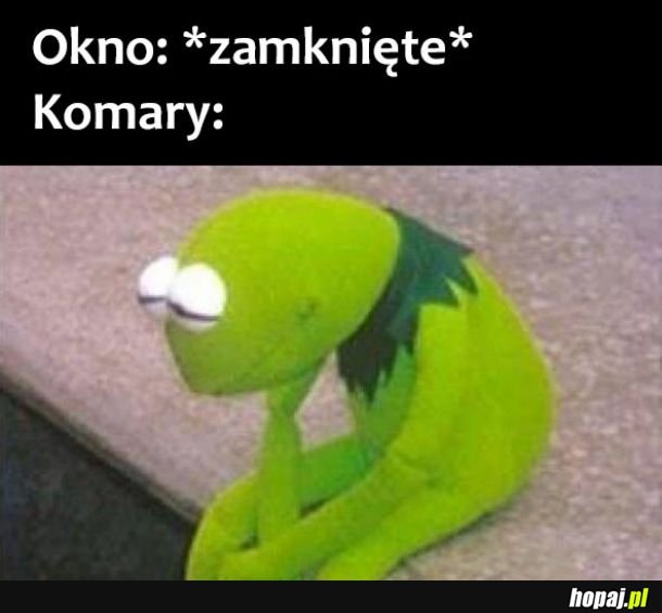 Komary 