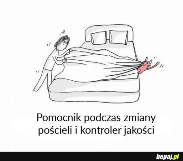 Kot pomocnik