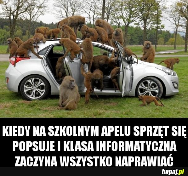 Tak to wygląda