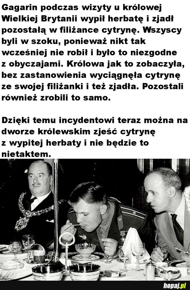 Swój chłop