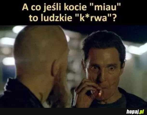 No właśnie xd