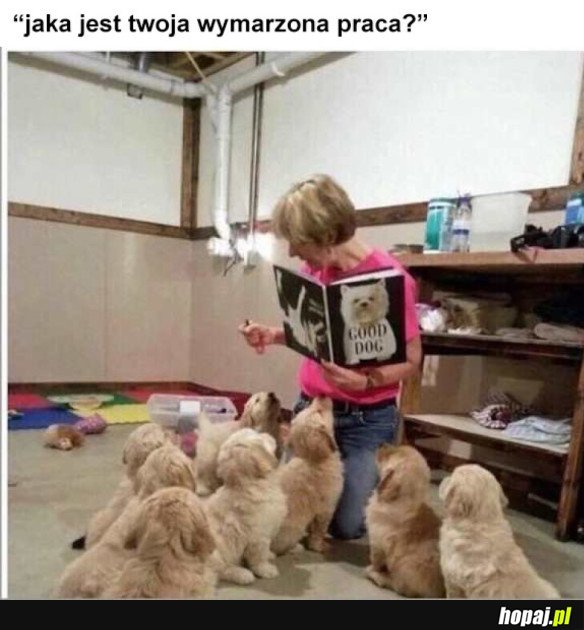 WYMARZONA PRACA