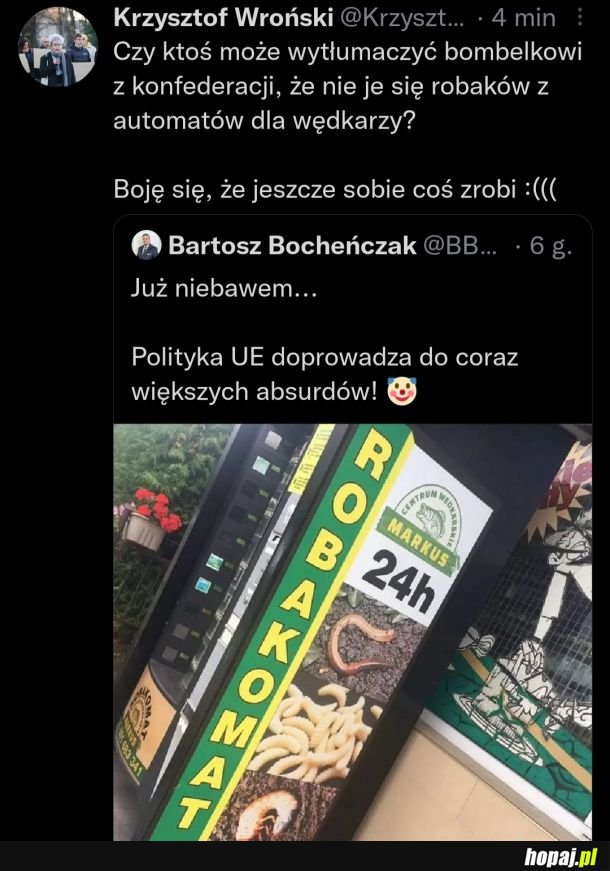 Robaki