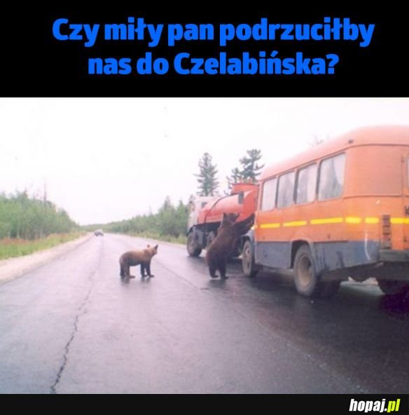 Kierowniku pomóż!
