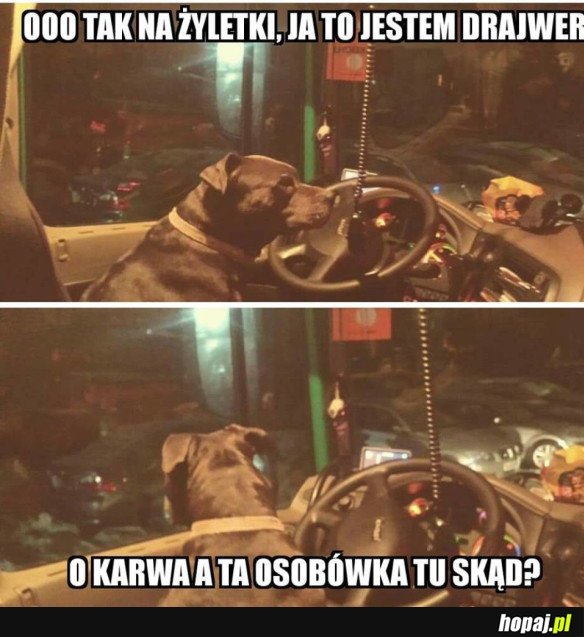 Ja to jestem kierowca