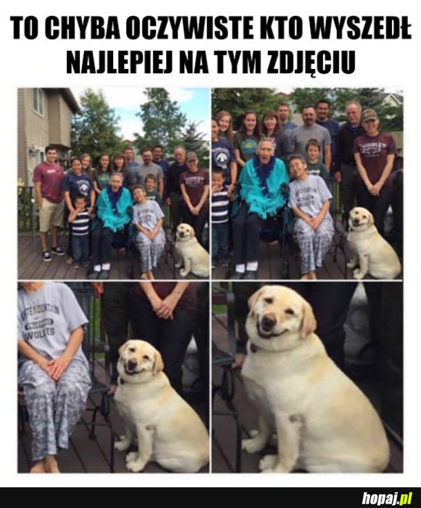 JEDYNY FOTOGENICZNY CZŁONEK RODZINY