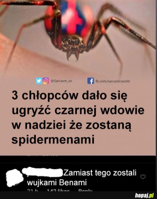 Spidermany