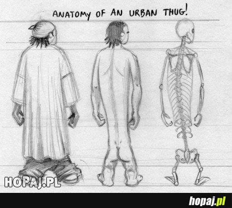 Anatomy of an urban thug