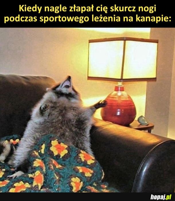 Koniec ze sportem