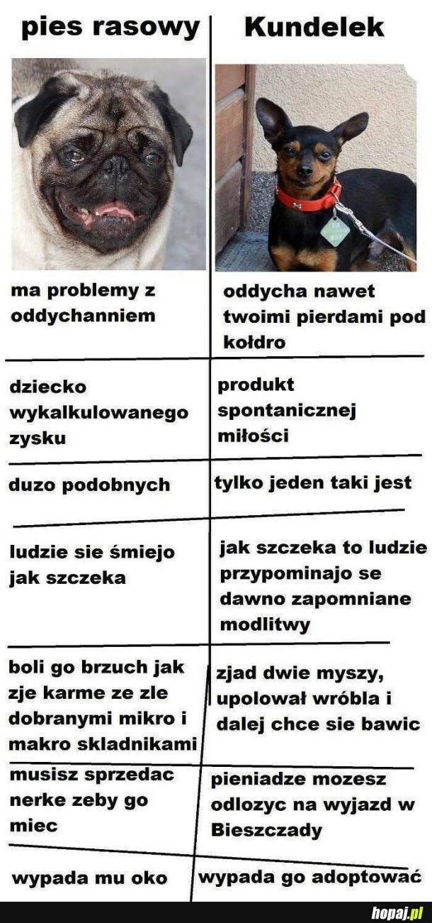 Pieseły