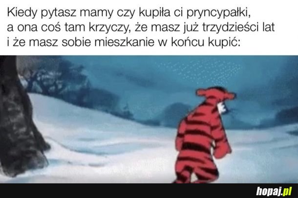 Dzień dziecka