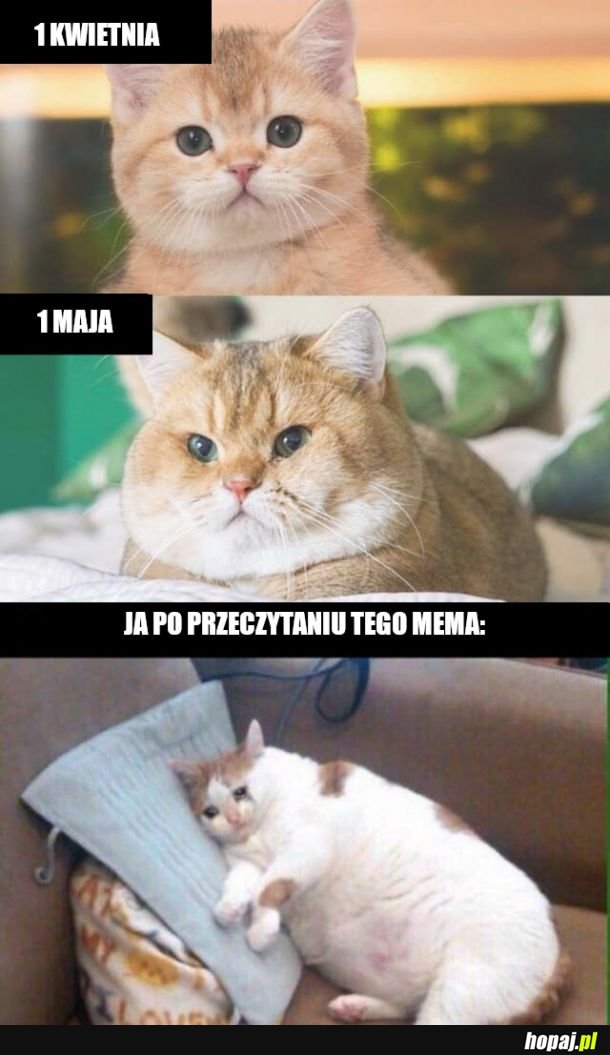 Kto się utożsamia