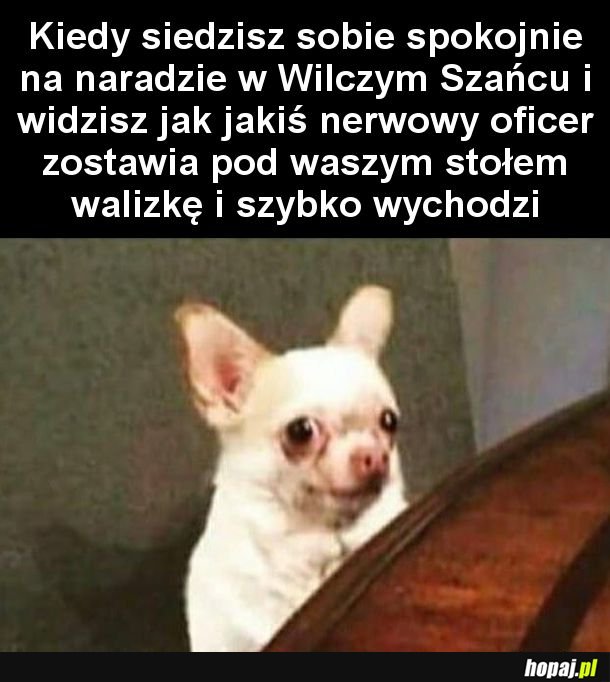 Mam złe przeczucia