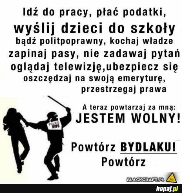 Tak wygląda wolność