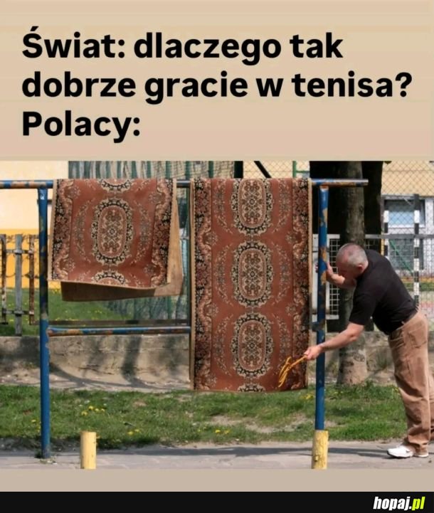 Tenis
