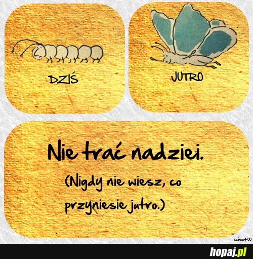 Nie trać nadziei