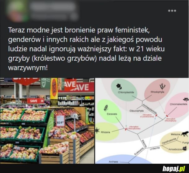 Nie są warzywami, nawet nie są roślinami