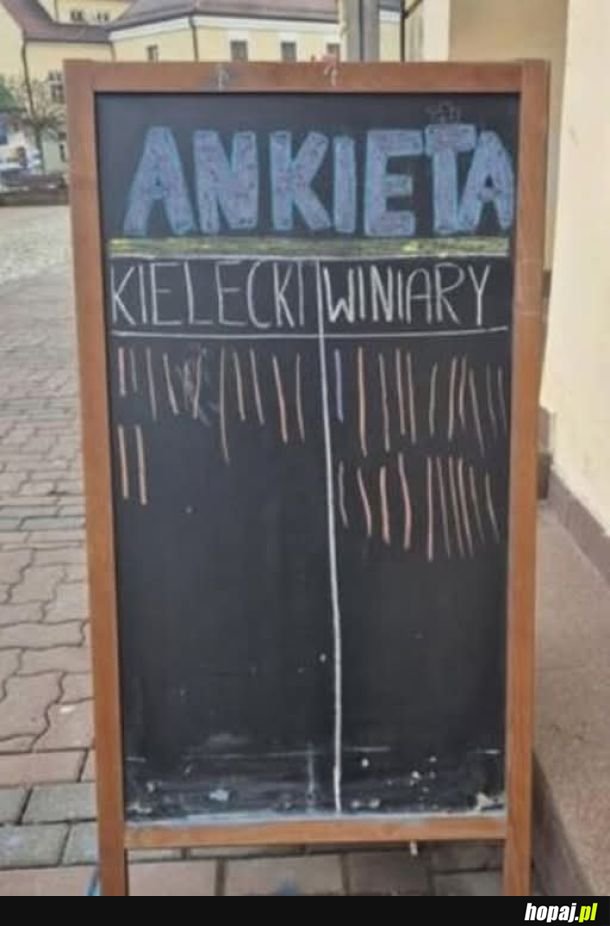 Ankieta