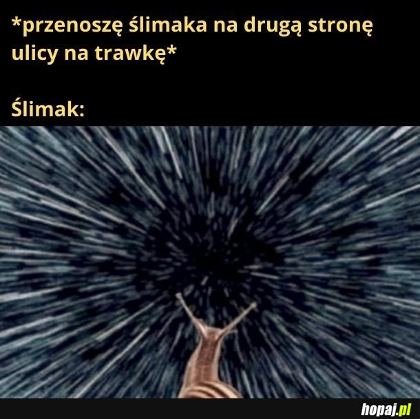 Co tu się?