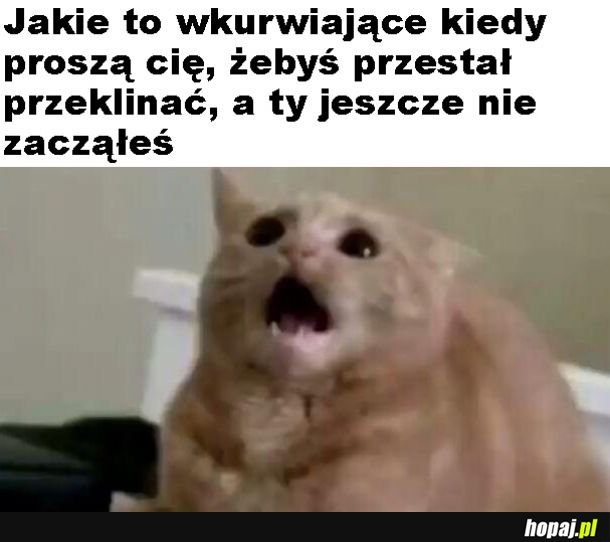 Jak oni tak mogą