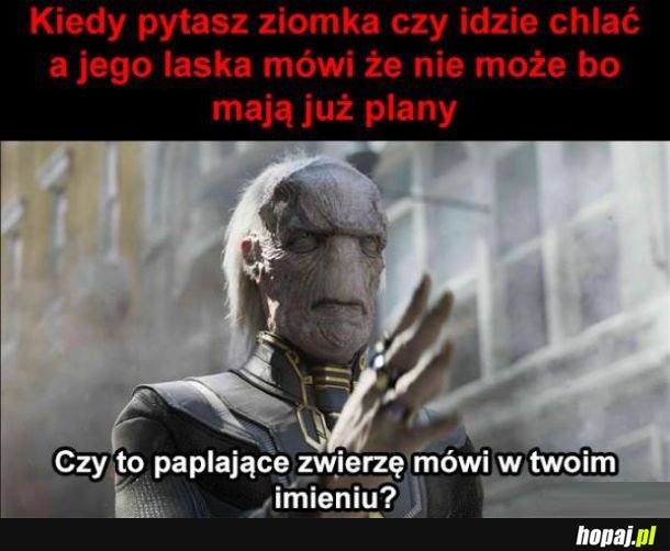 Jak żyć?
