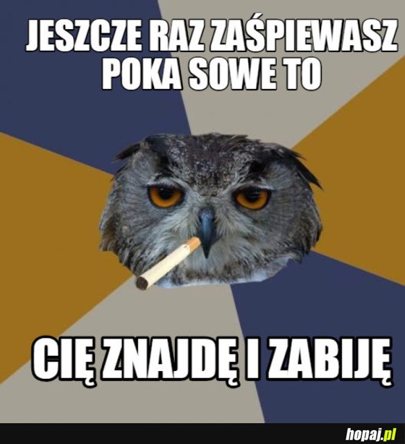 TA ZŁA SOWA...