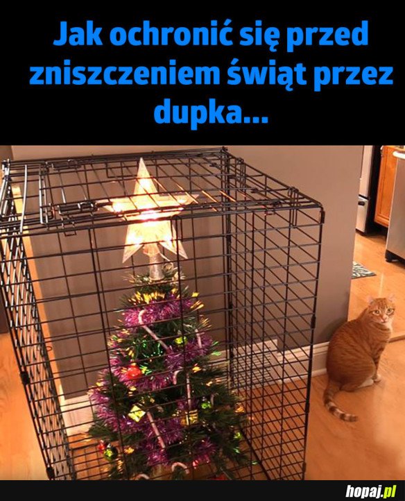OCHRONA TO PODSTAWA