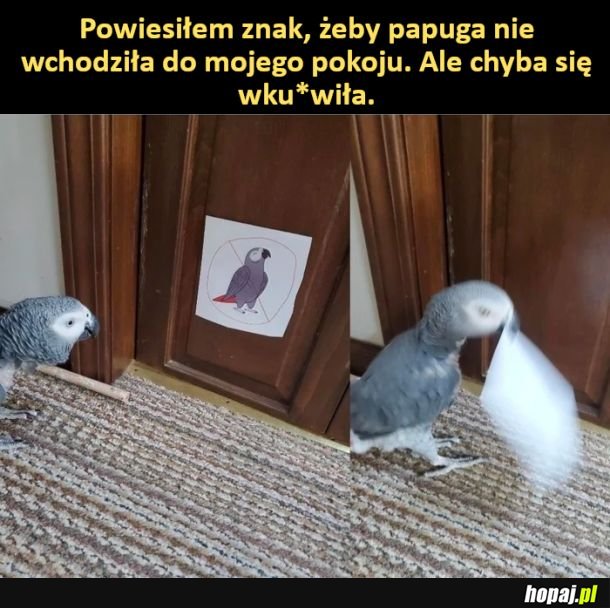 Zdenerwowała się