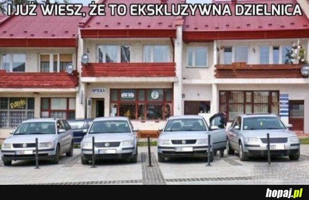 OL EKSLUZIW