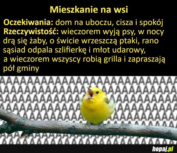 Mieszkanie na wsi