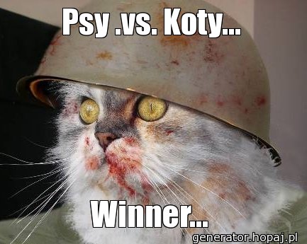 Psy .vs. Koty...