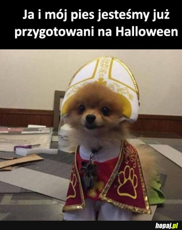 PIESEŁ POPEŁ