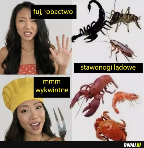 Jedzenie robaków