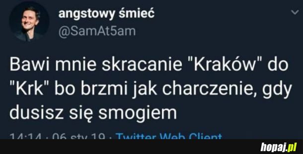 Smog wawelski