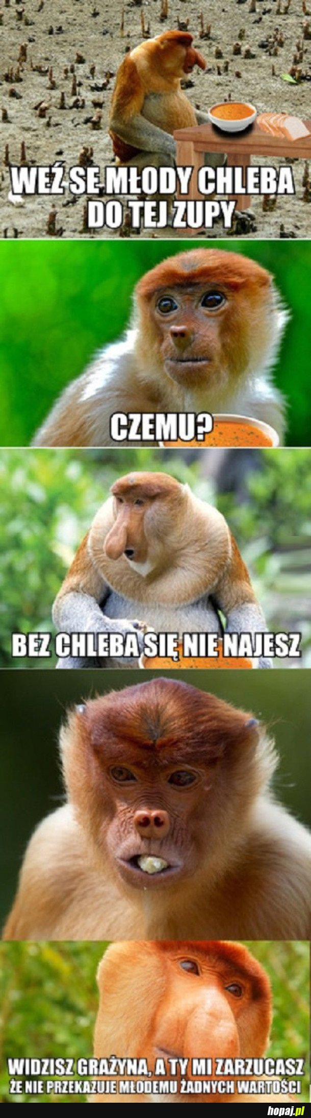 WEŹ SE MŁODY CHLEBA DO TEJ ZUPY