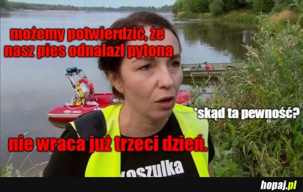 Znaleźli pytona