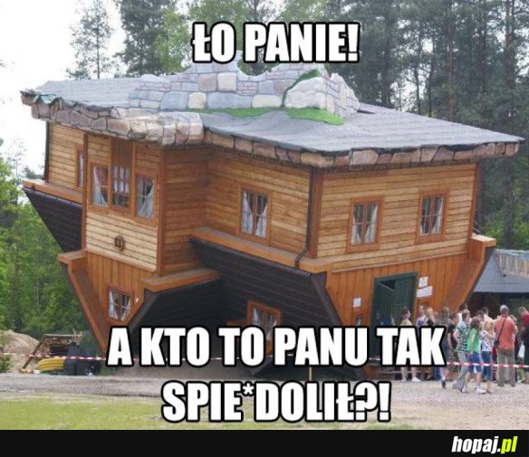 Ooo panie...