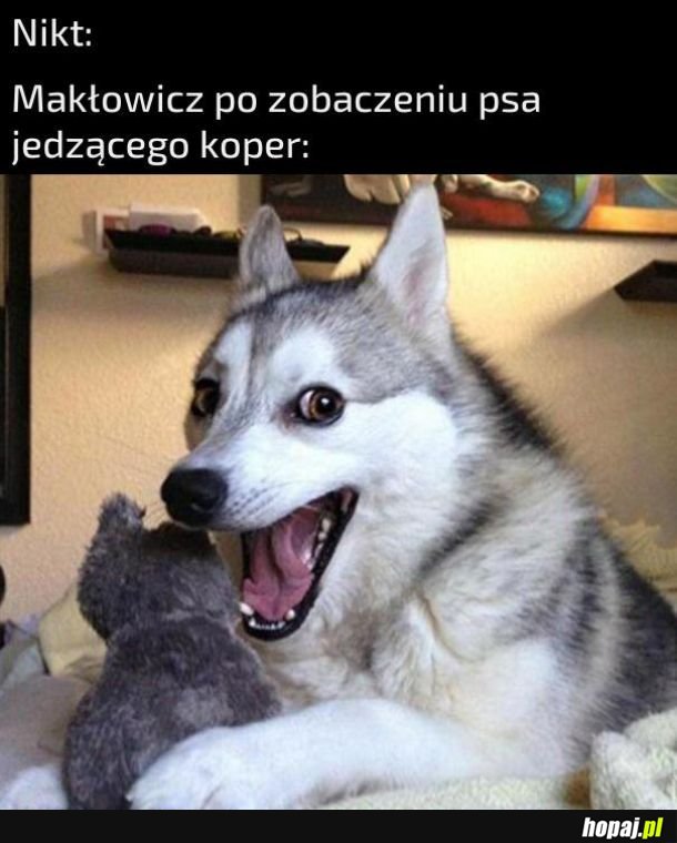 Makłowicz
