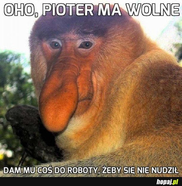 A CO BĘDZIE SIEDZIAŁ